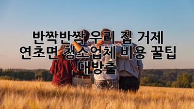 ✨ 반짝반짝 우리 집! 거제 연초면 청소업체 비용 꿀팁 대방출 🏡💰
