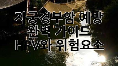 자궁경부암 예방, 완벽 가이드: HPV와 위험요소