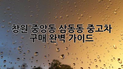 창원 중앙동 삼동동 중고차 구매 완벽 가이드